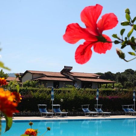 Agriturismo Ninea Ricadi Kültér fotó
