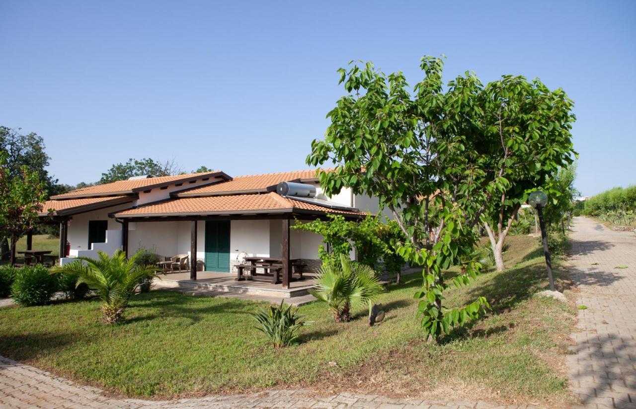 Agriturismo Ninea Ricadi Kültér fotó