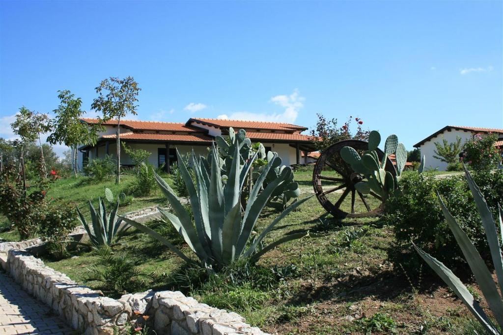 Agriturismo Ninea Ricadi Kültér fotó