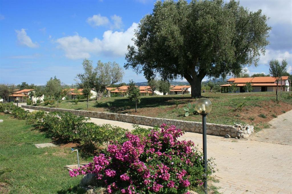 Agriturismo Ninea Ricadi Kültér fotó