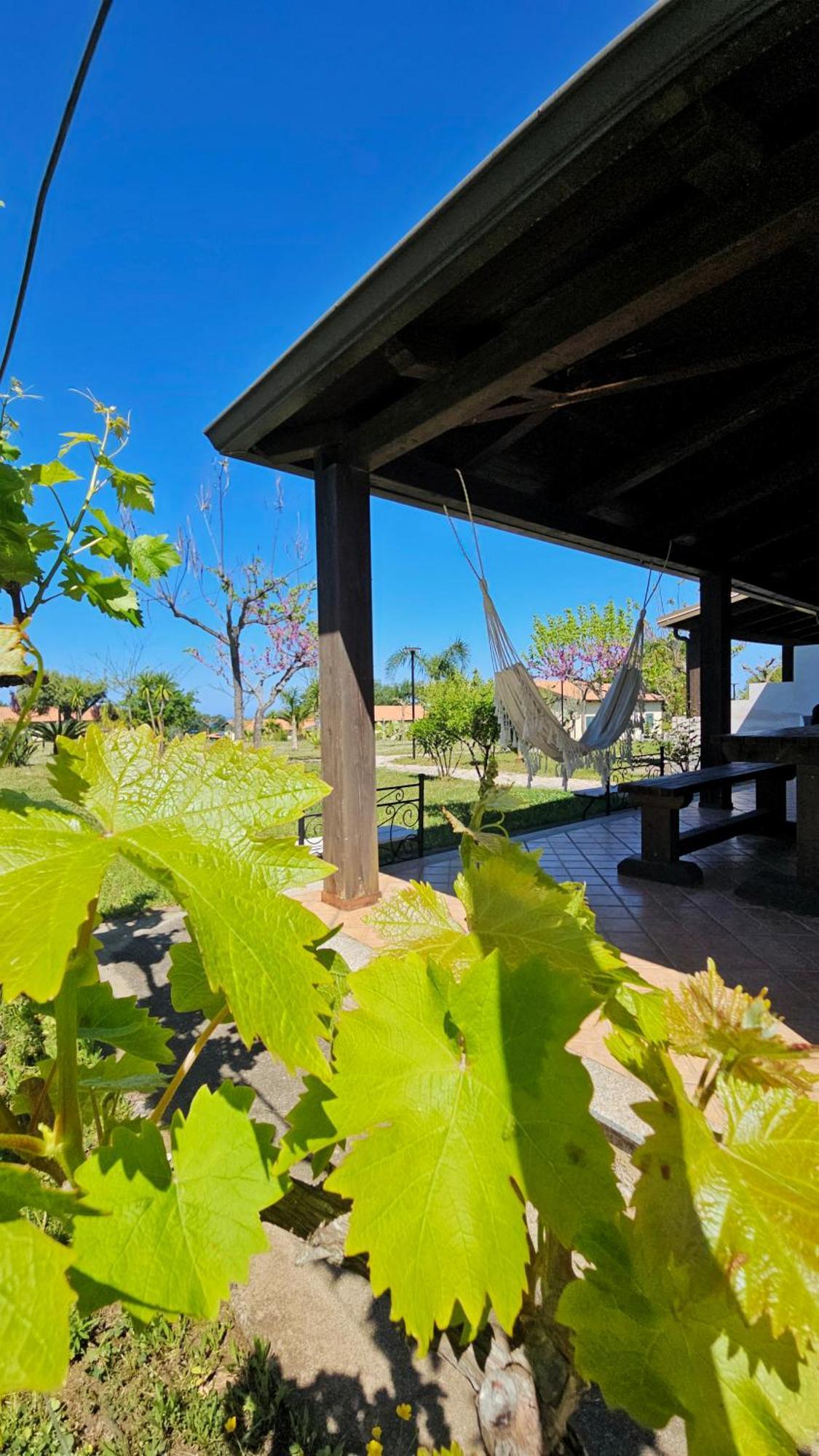Agriturismo Ninea Ricadi Kültér fotó